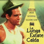 La Lunga Estate Calda Locandina